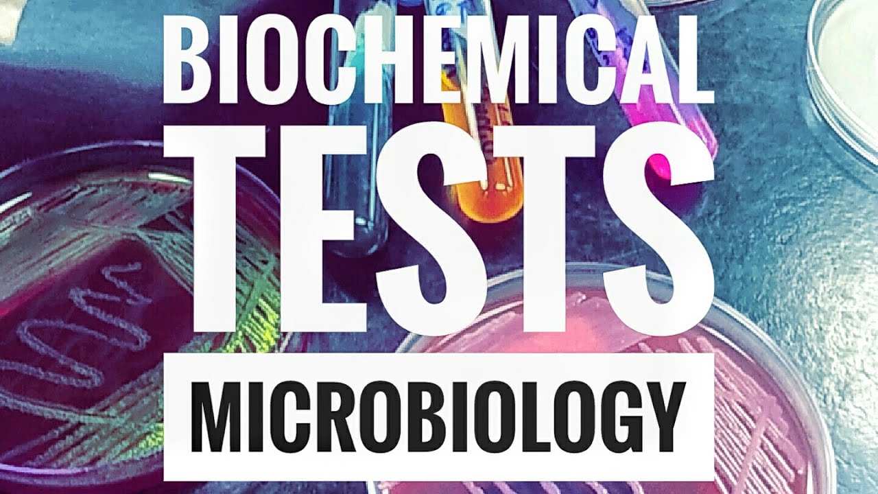 Biochemical Tests-Part 1