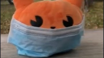 Remote Learning: Visual Poem By Abigail S.