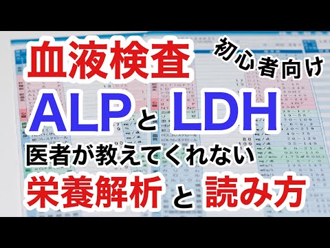 【血液検査】ALPとLDHの栄養解析と読み方！分子栄養学による解析法(初心者向け)【栄養チャンネル信長】