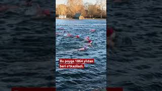 Angliya Bayram Ananasi - Qishki Suzish