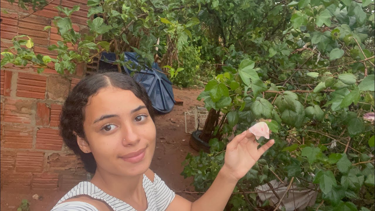FIM DE TARDE CHUVOSA ANGELINA MOSTRANDO COMO ESTÁ O SERTÃO DEPOIS DA CHUVA
