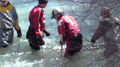 Biomark Installation of Pass-By Antenna Array in Palisades Creek