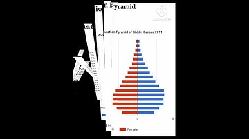 Social science Project # CBSE Art integrated Project on Sikkim and Delhi
