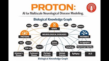 PROTON: AI for Multiscale Neurological Disease Modeling. Neurological Disease Knowledge Graph.