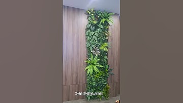 Tường cây giả đẹp tự nhiên tại 30 Văn Khê – Dự án của chú Hùng | Xanhvina #thicongtuongcaygia
