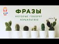 Сабабушка иврит. Фразы, которые говорят израильтяне (часть 3)