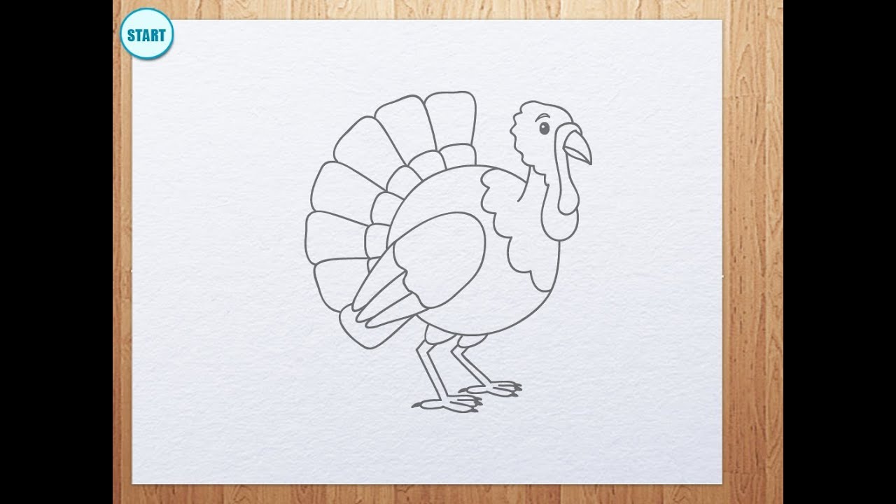 How to Draw a Cartoon Turkey | Thanksgiving Day - YouTube