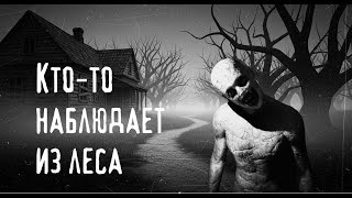 видео: КТО ТО НАБЛЮДАЕТ ИЗ ЛЕСА (СТРАШНАЯ ИСТОРИЯ) картинка: КТО ТО НАБЛЮДАЕТ ИЗ ЛЕСА (СТРАШНАЯ ИСТОРИЯ)
