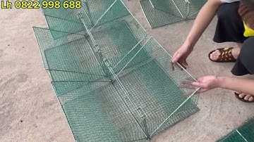 LỢP BẪY CUA ĐỒNG CUA BIỂN