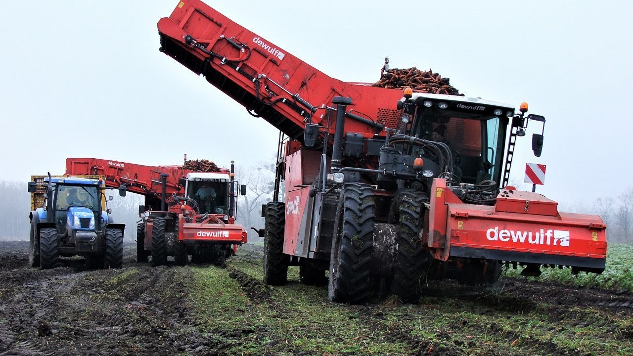 maxresdefault Dwa pokolenia kombajnu DeWulf RA3060 i ekipa New Holland w akcji