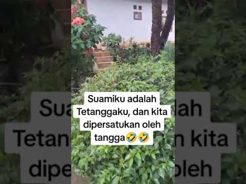 suamiku tetanggaku