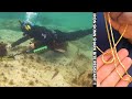 Metal Detecting with Sharks Found 22k GOLD Boat Anchor!! NEW Iron Skinn Shark Bite Suit