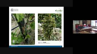MONTEVITIS Workshop #2 - Regional grapevine climate change adaptation methodologies - Part 2