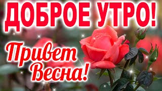 ОЧЕНЬ МУДРАЯ ПРИТЧА! С ДОБРЫМ УТРОМ! ДОБРОЕ УТРЕЧКО ХОРОШЕГО ДНЯ! Трогательный стих!