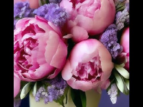МКСАДОВЫЕ ЦВЕТЫ из Малинового зефира с Натальей ШушаковойZefir Flowers made of Raspberry Zefir