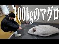 恐ろしくうまいマグロが神奈川の先っぽにあるらしい【生存報告】