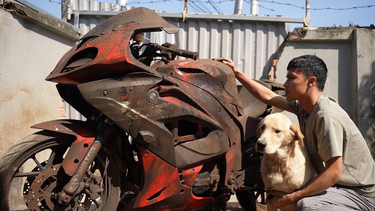 Полная реставрация мотоцикла BMW S1000RR ради спасения застрявшей собаки породы золотистый ретривер