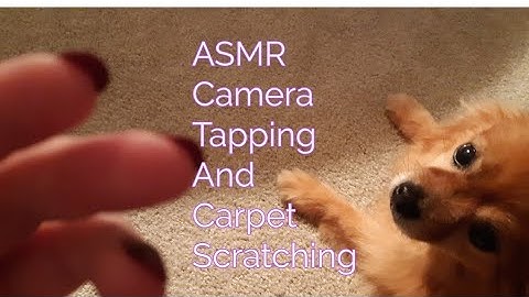 ASMR Camera Tapping And Carpet Scratching (No Talking)Lo-fi