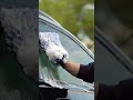 Relaxing Detailing ASMR - Hand Wash