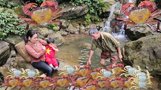 Today the old man goes to the market to sell crabs, what will happen to the old man?