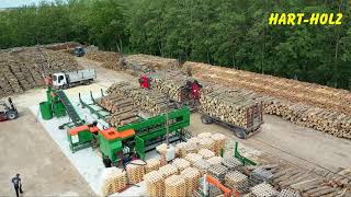 Hart-Holz Kft. 2024