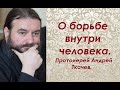 О вражде между духом и плотью. Протоиерей Андрей Ткачев.