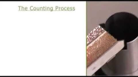 DATA Count & Pack S-60 Seed counting & packaging machine