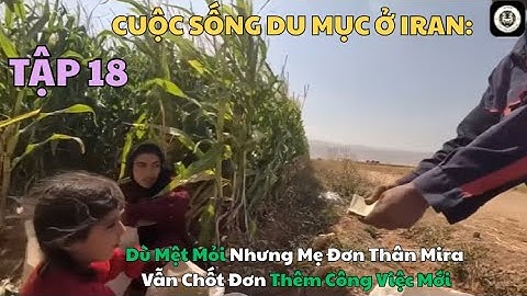 TẬP 18: CUỘC SỐNG DU MỤC Ở IRAN: Mẹ Đơn Thân Mira Dù Mệt Vẫn Chốt Đơn Công Việc Mới