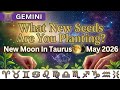 Gemini ♊ What New Seeds Are You Planting? 🌕 New Moon In Taurus ✨ May 2026