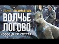 5000 ДНЕЙ СПУСТЯ ► THE LONG DARK (НЕЗВАНЫЙ ГОСТЬ ) # 1