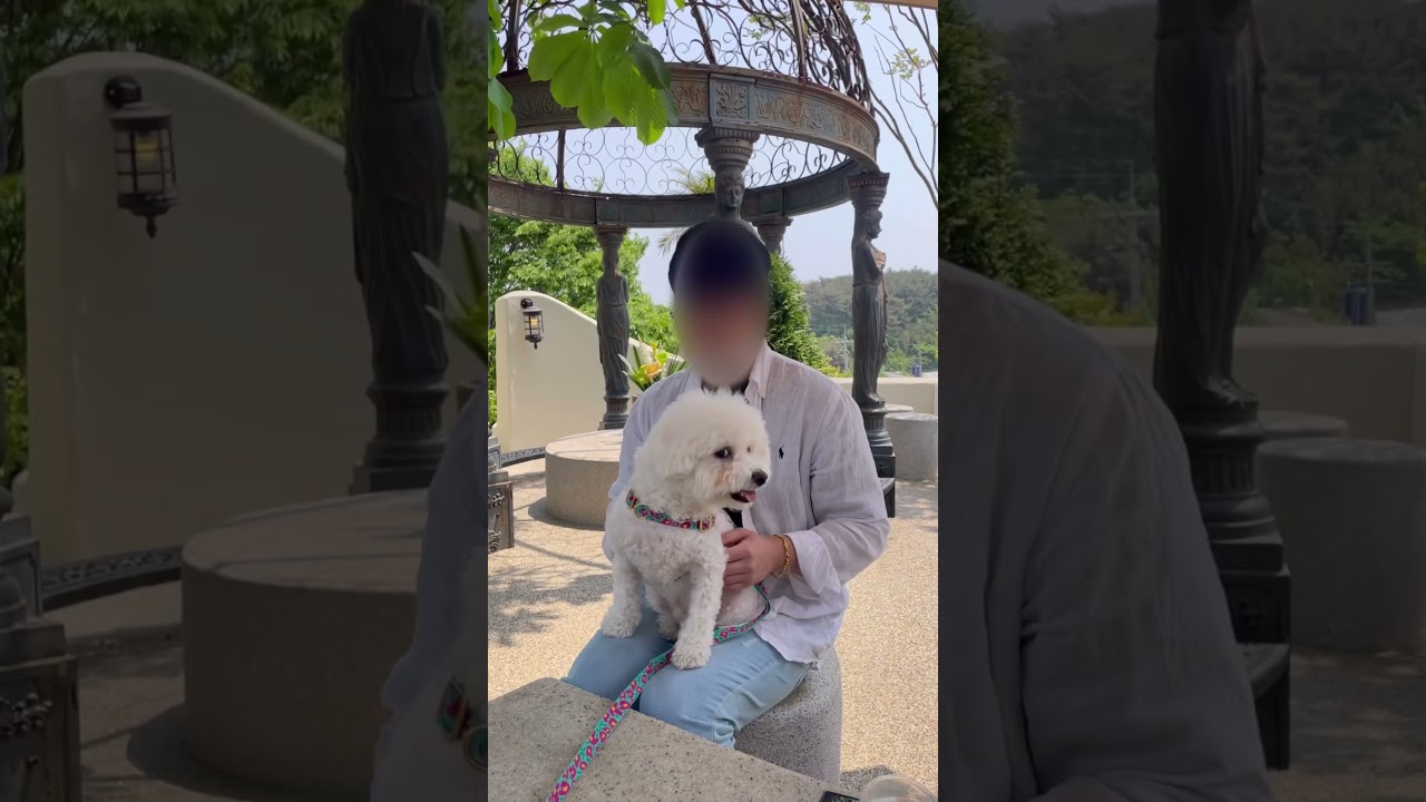 [제트네] 태안애견동반카페 트레블브레이크커피:)