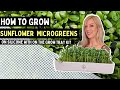 How to grow sunflower microgreens at home on silicone with our 7x14 tray kit  soilless growing