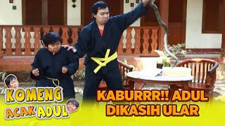 LAGI ASIK NGELUARIN JURUS👊👊 ADUL DIKASIH ULAR🤣 | KOMENG ACAK ADUL