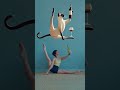 Taking control over alcohol😂 #dilyaabdusalimova #contemporaryart #controlalcohol #balance #animeart