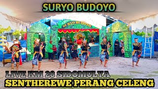 JARANAN PALANGKA RAYA SURYO BUDOYO‼️ SENTHEREWE PERANG CELENG