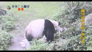 20150421 654