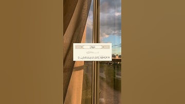 فلا يحزنك قولهم إنا نعلم ما يسرون وما يعلنون - آية(٧٦) - سورة يس