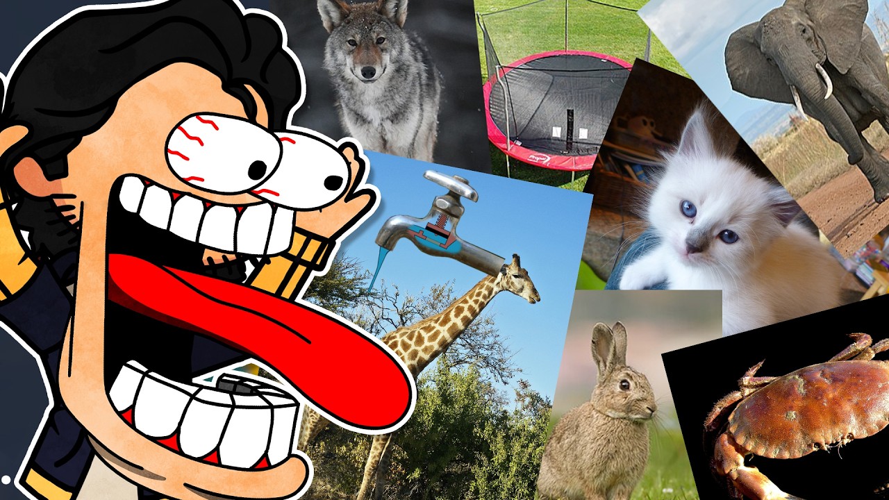 J'IMITE DES ANIMAUX PENDANT 1h (Cliquez pas je vous jure) - CLUB PINGOUIN