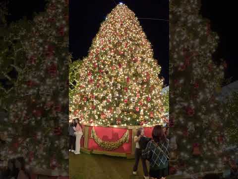 Wideo: Boże Narodzenie w Los Angeles