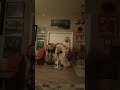 зарядка exercise