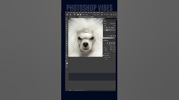 Photoshop Tutorial: How to Fix Pet Eye with Clone Source Option