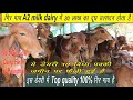 गिर गाय A2 milk dairy में 20 लाख का दूध उत्पादन होता है | Know about No.1 Gir Cow Dairy of Rajasthan