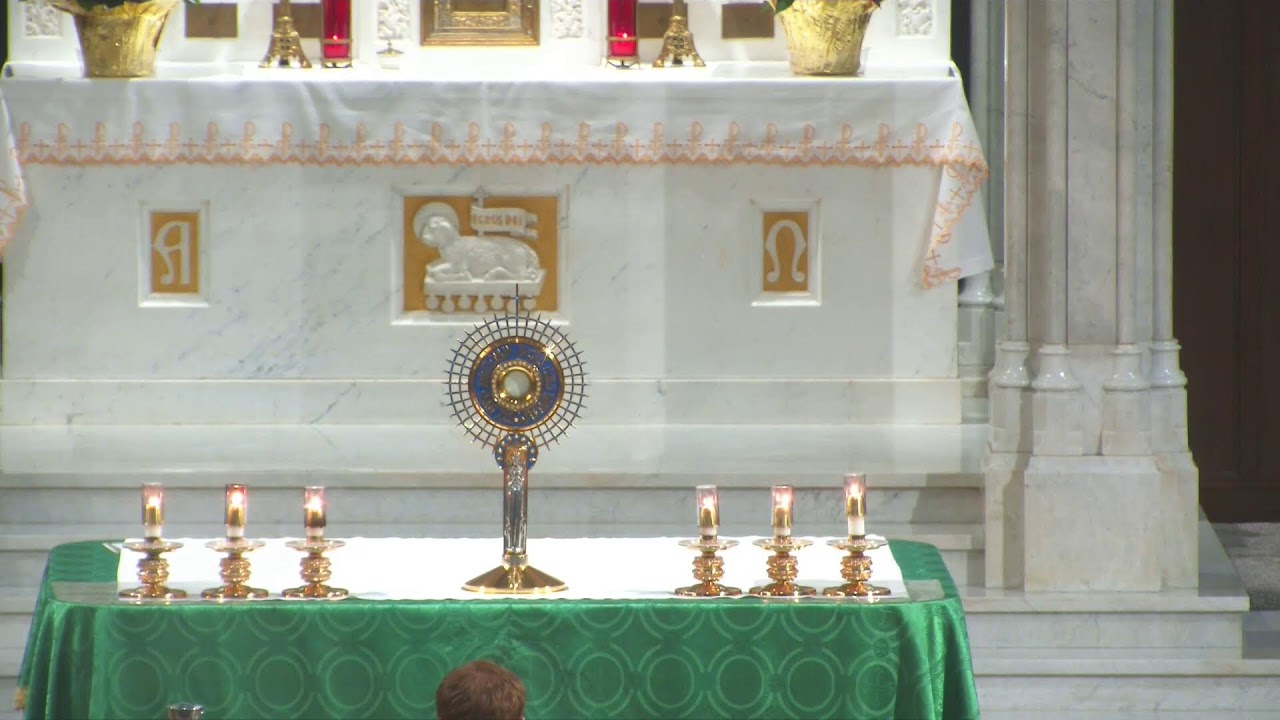 Holy Hour for healing and for our Families I 1–16-2026