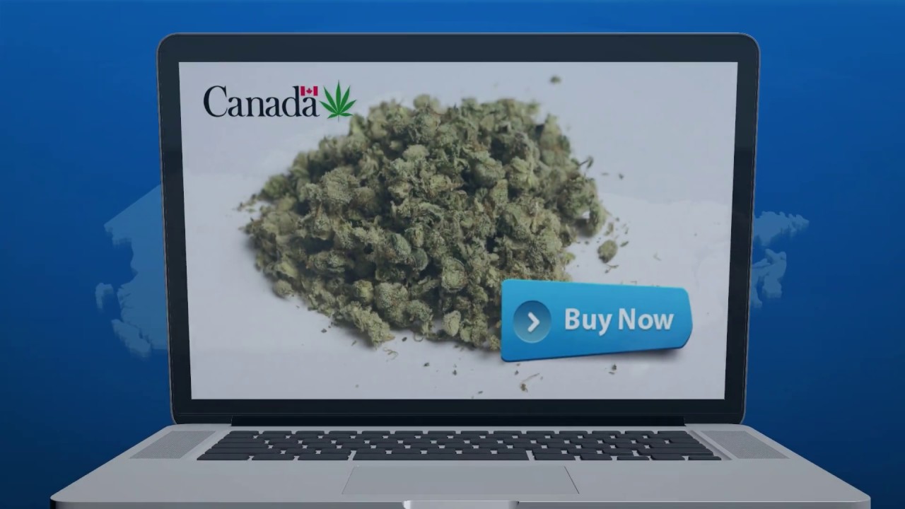 Global News Motion Graphic Canadian Cannabis Laws YouTube