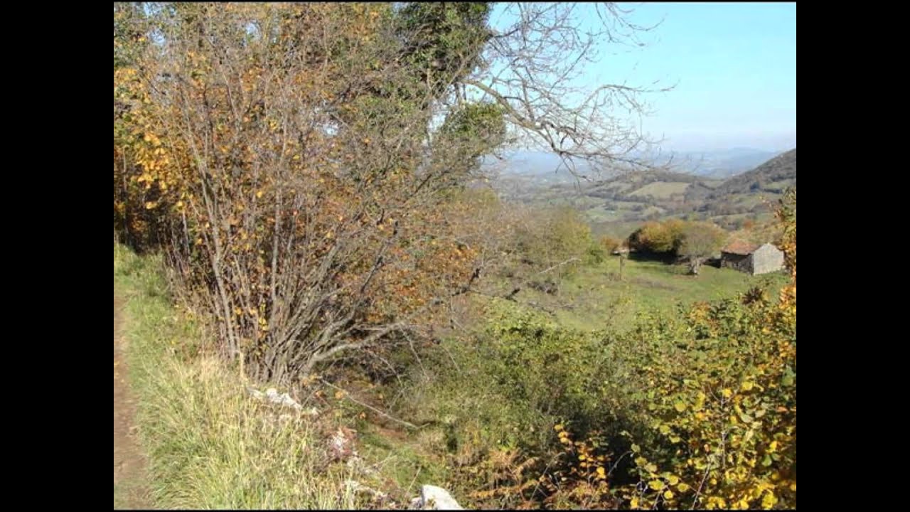 78 La ruta del Conde Coalla hacia el pueblo abandonado de Santo Adriano del Monte es el mayor espectáculo natural del Concejo de Grado