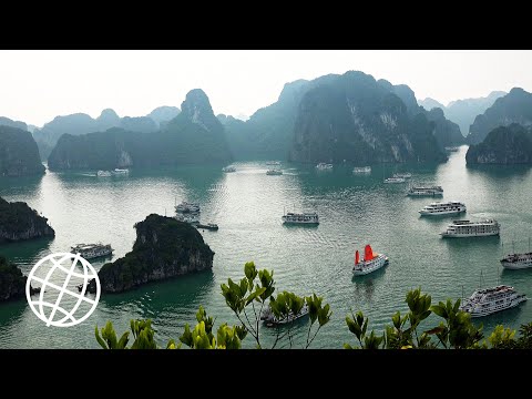 Video: Hoe Eenvoudig Het Is Om Een rondleiding Door Halong Bay In Vietnam Te Organiseren