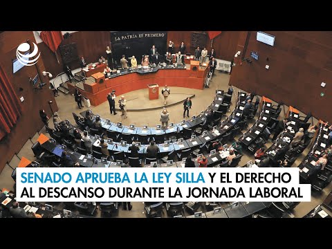 Senado aprueba la Ley Silla y el derecho al descanso durante la jornada laboral