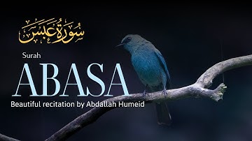 Surah Abasa  - سورة عبس - Abdallah Humeid -