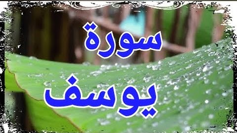 سورة يوسف من المصحف المرتل كاملة ومكتوبة القارئ (عبدالله بصفر)