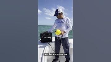 How To Stone Crab!! 🤙🦀 #howto #diy #crabbing #stonecrab #shorts